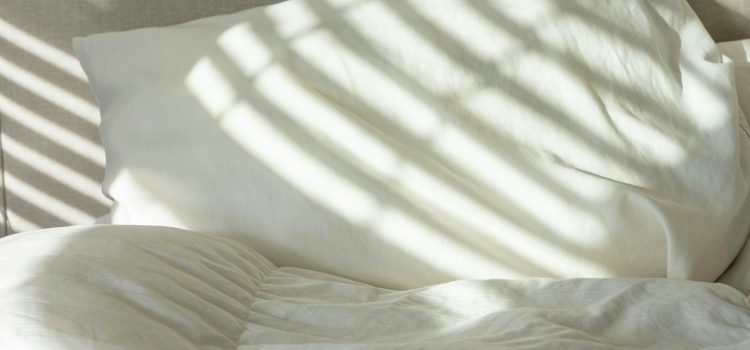 Punaises de lit à Agen : conseils et astuces pour une éradication réussie